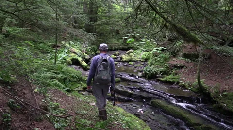 Wilderness Guide Stock Footage 27759587