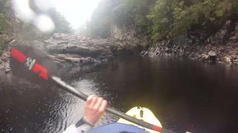 Wilderness kayaking tasmania Stock Footage 50090964