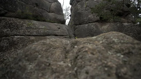 Wilderness landscape forest with pine trees and moss on boulders wild scenery Stock Footage 174040827