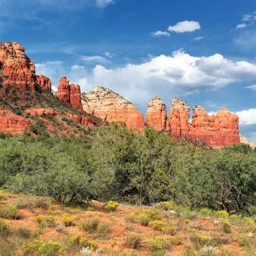 Wilderness landscape Stock Photos