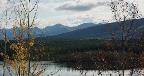 Wilderness landscape scene in late fall in northern Canada Stock Footage 116496048