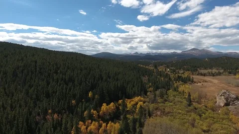 Wilderness Mountain Pine Fly Over Stock Footage 71966161