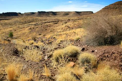 Wilderness in Namibia Stock Photos