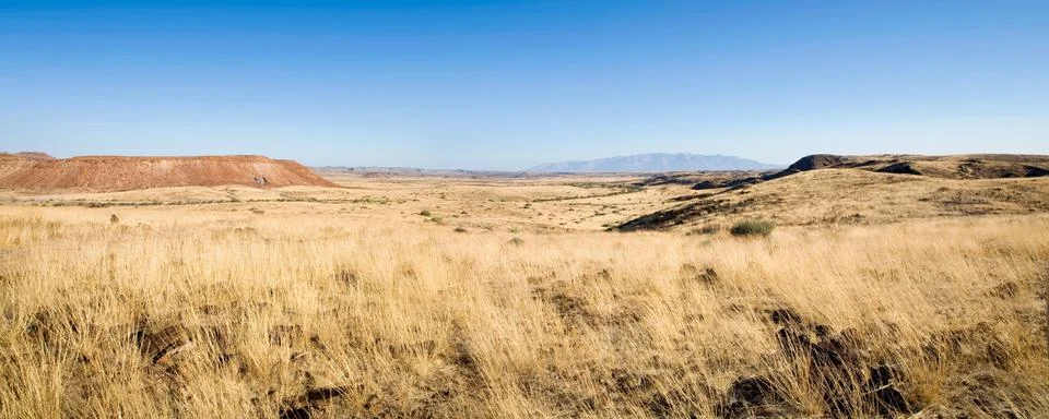 Wilderness in Namibia Stock Photos
