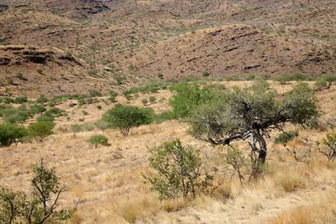 Wilderness in Namibia Stock Photos