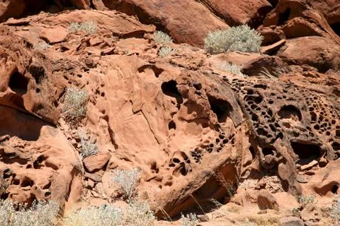 Wilderness in Namibia Stock Photos