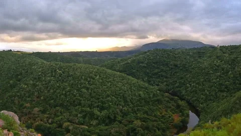 Wilderness Nature reserve Stock Footage 202006963