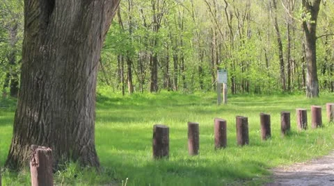 Wilderness park 1 Stock Footage 10899136