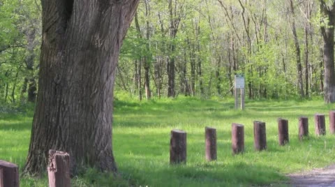 Wilderness Park 3 Stock Footage 10899122