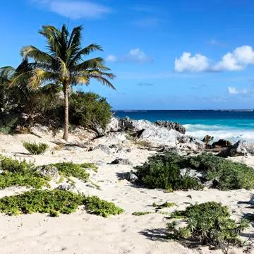 Wilderness Stock Photos