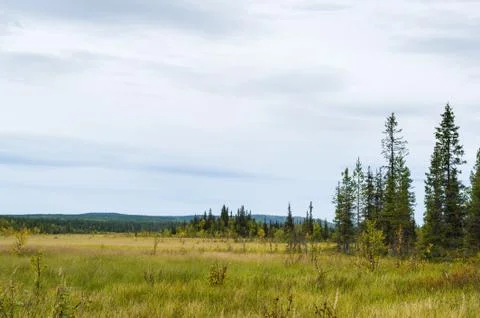 Wilderness Stock-Fotos