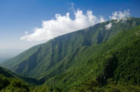 Wilderness Stock Photos
