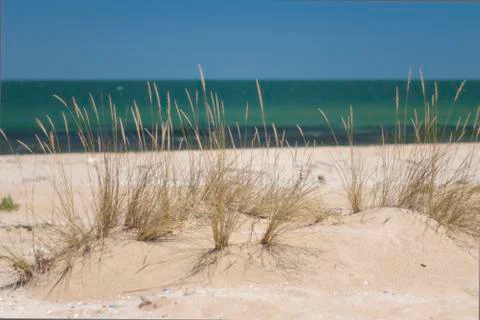 Wilderness Stock Photos