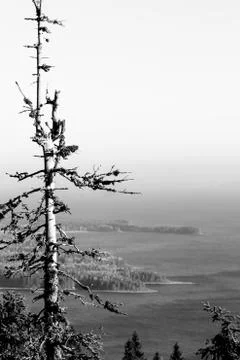 Wilderness Stock Photos