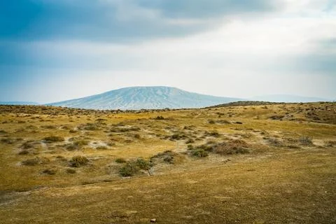 Wilderness Stock Photos