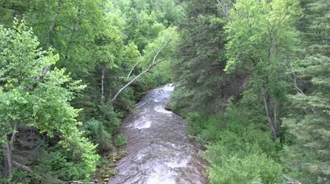 Wilderness rapids from above Video stock 52341185
