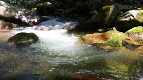 Wilderness in a remote area with a river. Siberia, Russian Far East Stock Footage 67252905