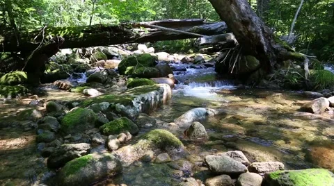 Wilderness in a remote area with a river. Siberia, Russian Far East Stock Footage 67252932