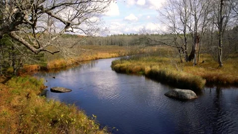 A wilderness river in the fall. Stock Footage 163735816