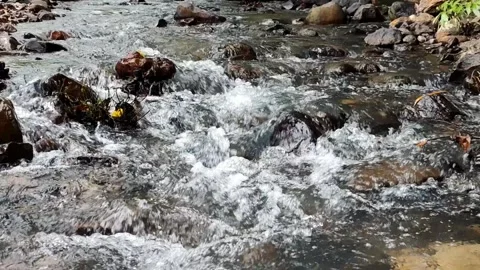 Wilderness River Flowing Over Mossy Rocks - 60s Ambient Audio Stock Footage 327627946