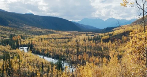 Wilderness river flowing through a valley in full autumn colors Stock Footage 115813087