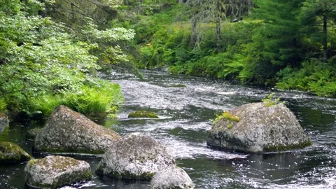 A wilderness river Stock Footage 157789750