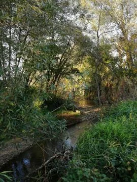 Wilderness   river Stock Photos