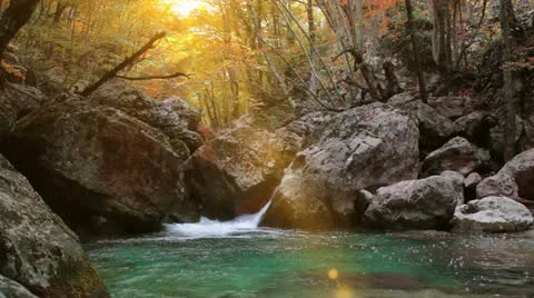 Wilderness Stream. Stock Footage 21234576