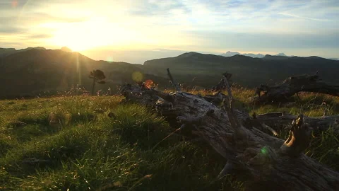 Wilderness sunrise Stock Footage 132210962