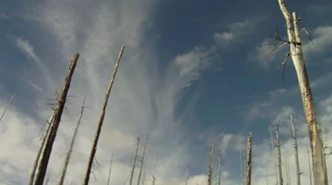 Wilderness Time Lapse Video stock 42888829