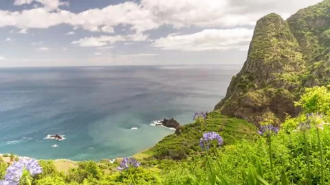 Wilderness Timelapse 動画素材 197441664