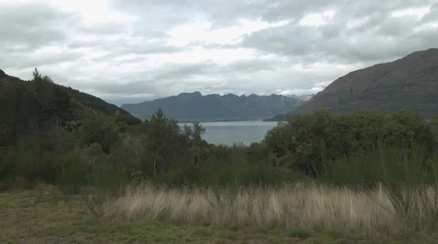 Wilderness Tracking Shot Stock Footage 64229749