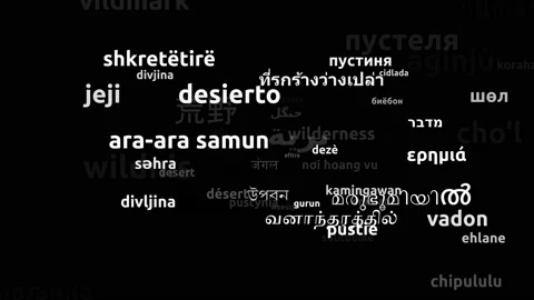 Wilderness Translated in 59 Worldwide Languages Endless Looping 3d Zooming Wo Video stock 145231285