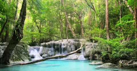 Wilderness of tropical rainforest. Waterfall, natural pond and water stream Stock Footage