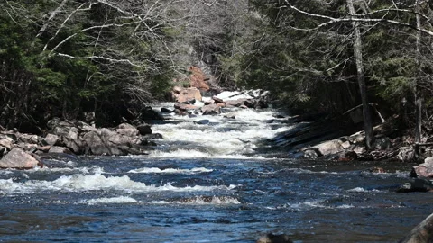 Wilderness waterfalls and rapids Stock Footage 182195073