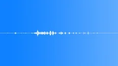 Wilderness Wetland, DuckSound Effect