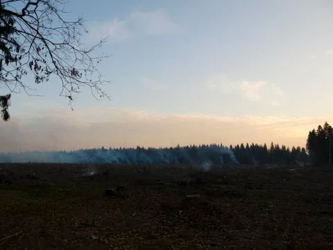 Wildfire 010 Stock Photos