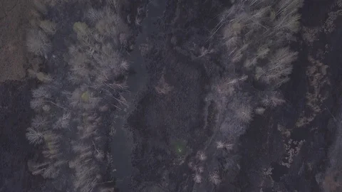 Wildfire 02 Video stock 128584308