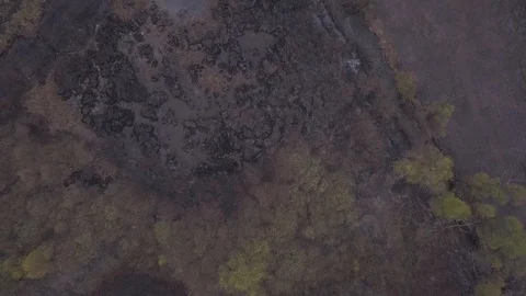 Wildfire 04 Video stock 128584309