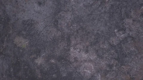 Wildfire 05 Video stock 128584852