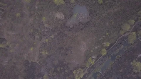 Wildfire 06 Video stock 128584702