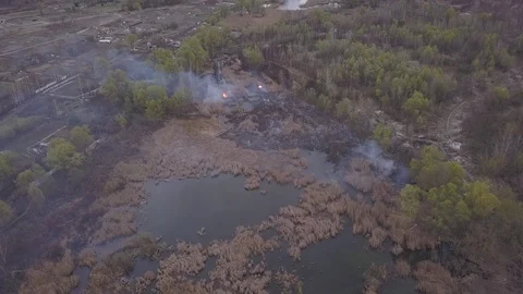 Wildfire 09 Video stock 128583193