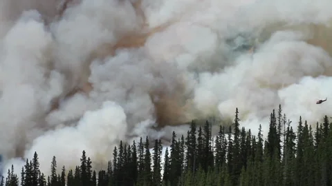 Wildfire-1 Stock Footage 295232839