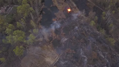 Wildfire 10 Stock Footage 128583400