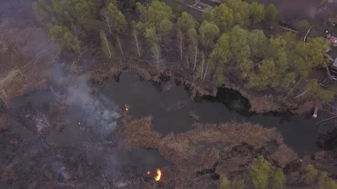 Wildfire 11 Video stock 128583318