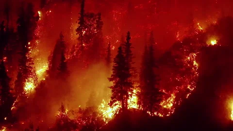 Wildfire-2 Stock Footage 295232835