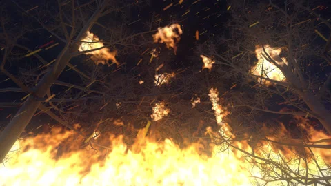 Wildfire 4K 3D render Stock Footage
