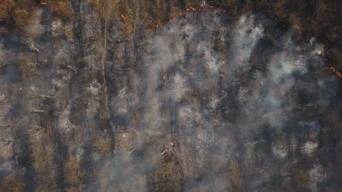 Wildfire aerial view. Fire and smoke at a forest fire near the city Video stock 127835367