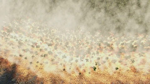 Wildfire. Aerial view. Stock Footage 116667561