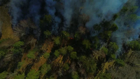 Wildfire Aerials Stock Footage 261420867